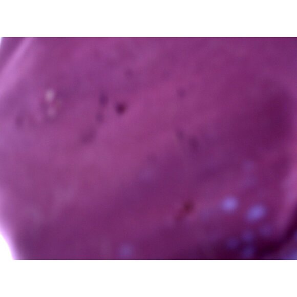 Affliction Women's T-Shirt Purple/Black/Silver, Beaded, Size Large, Defect - Picture 5 of 12